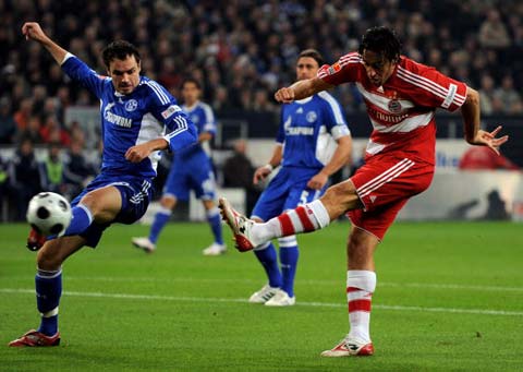 凯恩本赛季 凯恩本赛季