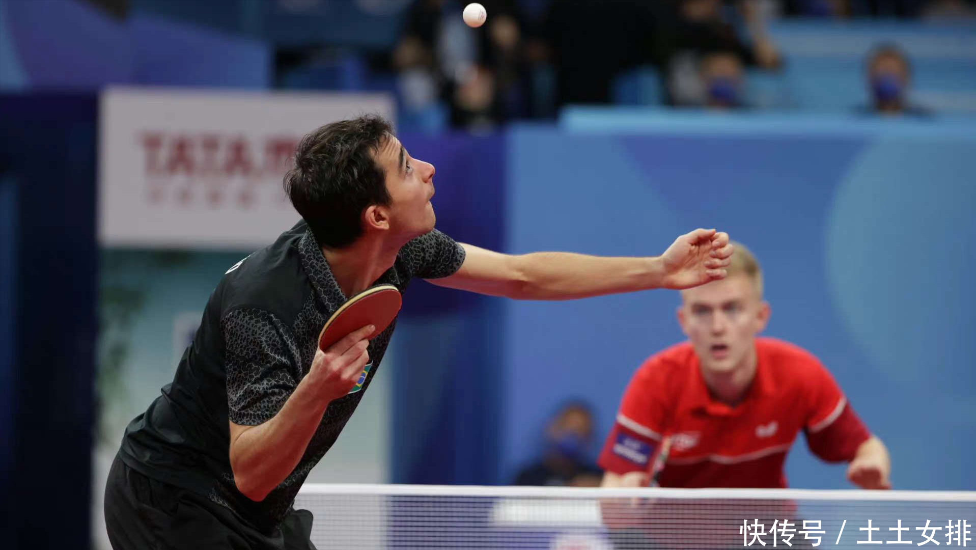 速度战术最 速度战术最